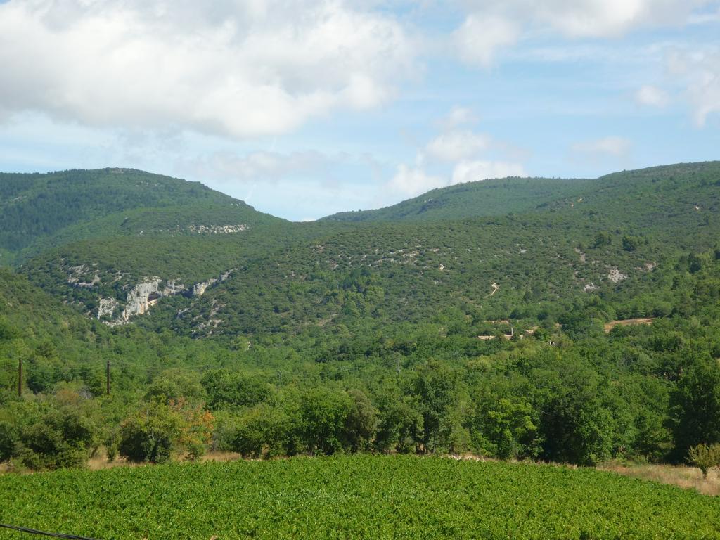 Willa La Fontaine Des Noyers Saint-Saturnin-lès-Apt Zewnętrze zdjęcie